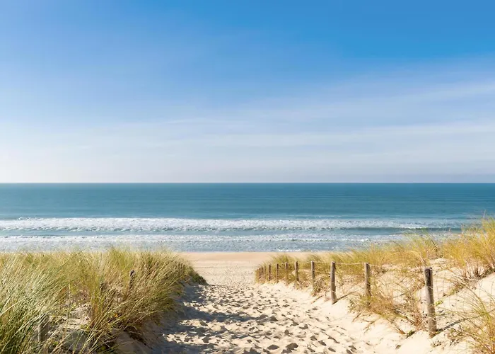 度假居 Superbe Maison Avec Piscine 安德诺莱斯贝恩