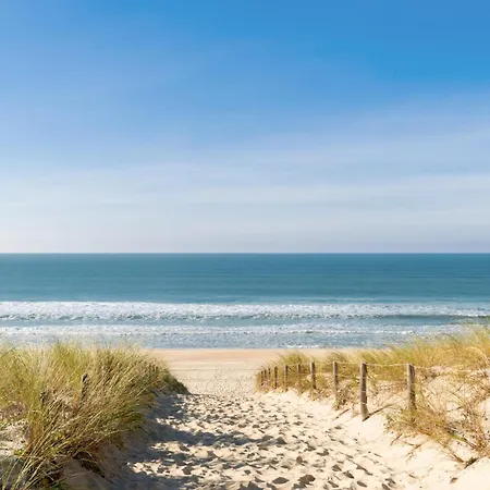 Holiday home Superbe Maison Avec Piscine Andernos-les-Bains